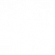 Koszulka męska No BAE No Problems