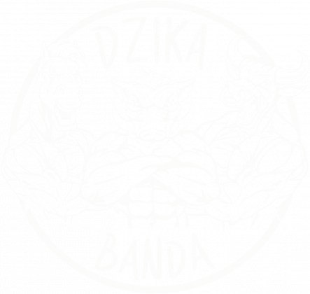 Dzika Banda