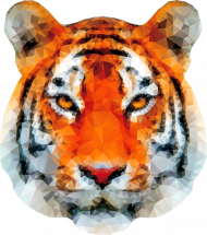 Dziecięca koszulka z tygrysem