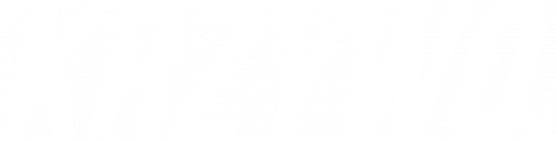 Bluza męska "KRZYWO."