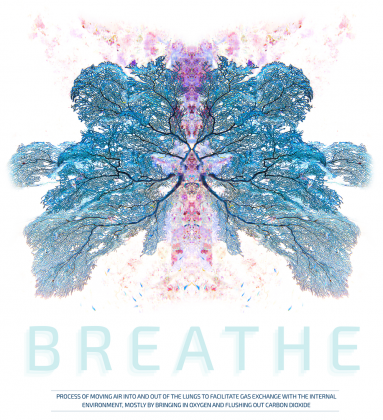 koszulka nurkowa - breathe
