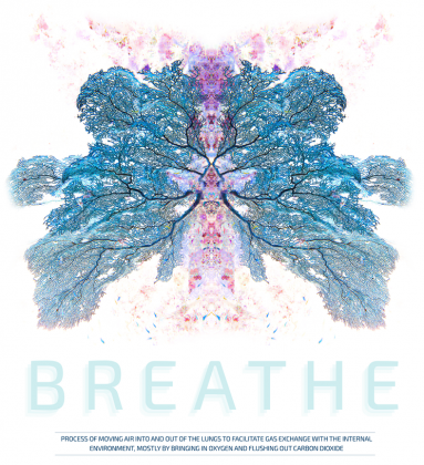 Koszulka nurkowa - breathe