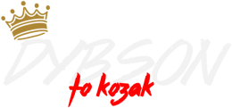 dybson sb // bluza