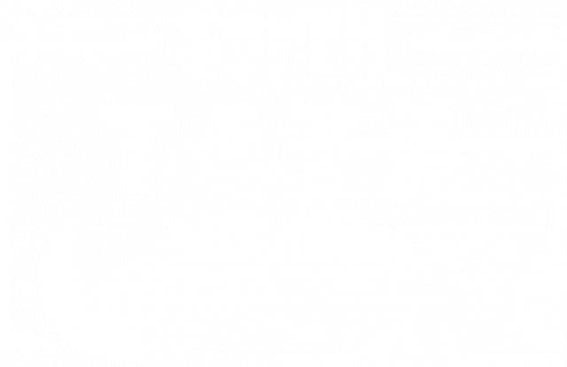 SUPER TATA