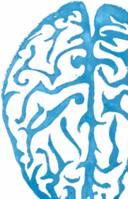 KUBEK (kolor) - mózg