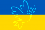 Ukraina bluza z dlugim rekawem flaga Ukrainy Golabek pokoju