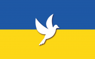 Ukraina bluza flaga Ukrainy Golabek pokoju 2
