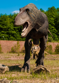 Plakat pionowy A1 Kraina Dinozaurów 1