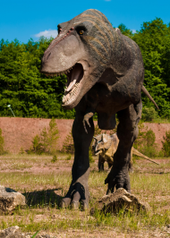 Plakat pionowy A2 Kraina Dinozaurow 1