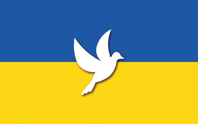 Ukraina bluza flaga Ukrainy Golabek pokoju 2