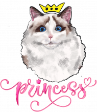 Princess cat