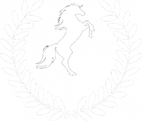 Koszulka AKAPO White Edition
