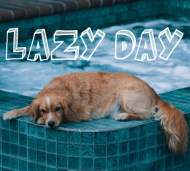 Kubek 'Lazy Day'