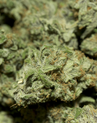 Kubek  - Napis Na Chillku (Marihuana Style)