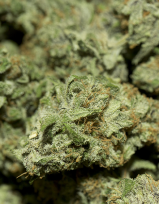 Kubek  - Napis Na Chillku (Marihuana Style)