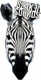 Bluza - Zebra
