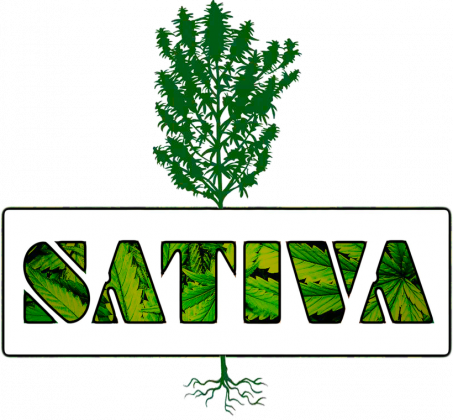 Sativa