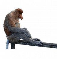 Koszulka W dupach się im poprzewracało