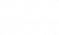 KOSZULKA CHARIZARD