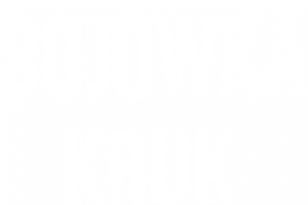 KOSZULKA KRUK