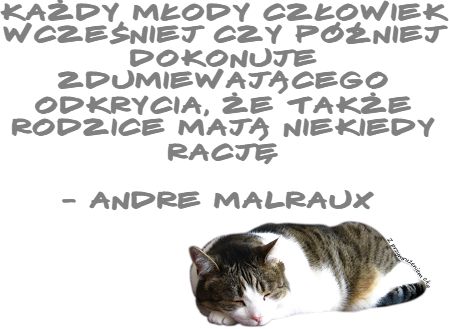 Cytat Andre Malraux + Kot
