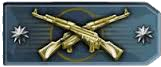 CS:GO [Master Guardian Elite]