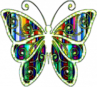 butterfly