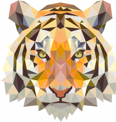 KOSZULKA MĘSKA TIGER