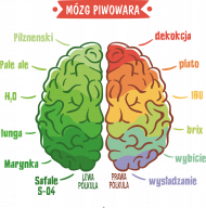 Mózg Piwowara