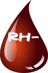 Koszulka Męska z grupą krwi Rh-