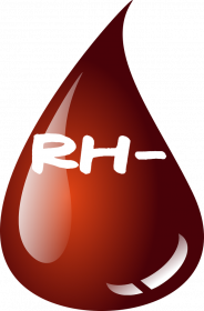 Koszulka Damska z grupą krwi Rh-