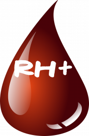 Koszulka Męska z grupą krwi Rh+