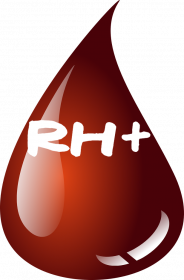 Koszulka Damska z grupą krwi Rh+