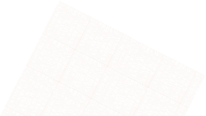 BLUZA Z LOGIEM [MĘSKA]