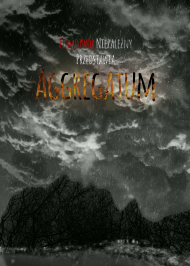 Plakat Aggregatum