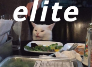 Elite Cat