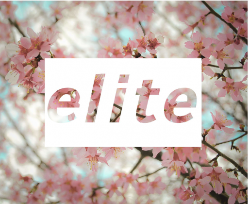 Elite Flowers Spring 2019 v2