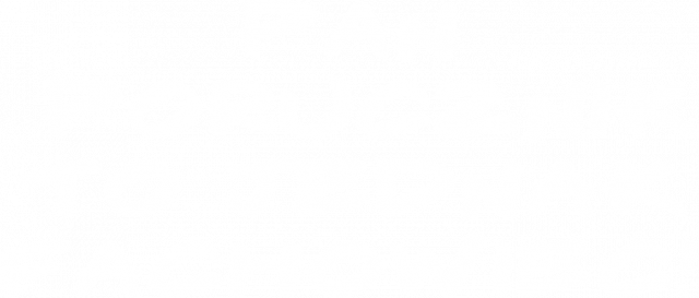 Koszulka Pana Porucznika