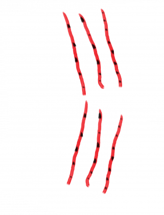 Koszulka zombie i z zadrapaniem :)