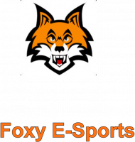 Bluza Foxy E-Sports "Revan" (v,2)
