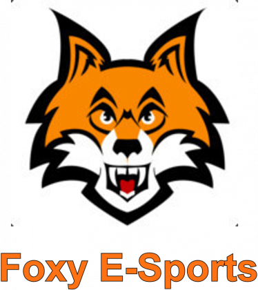 Bluza Foxy E-Sports "Revan"