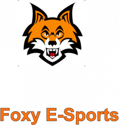 Bluza Foxy E-Sports "Revan" (v,2)