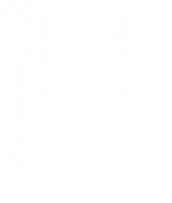 Torba Forest Shadows