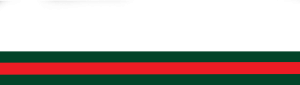 GUCCI Stripes, koszulka męska - nadruk