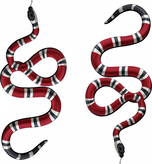 Snakes, węże, GUCCI