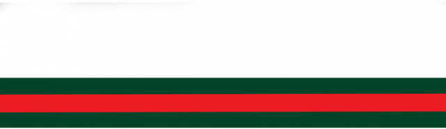 GUCCI Stripes, koszulka damska