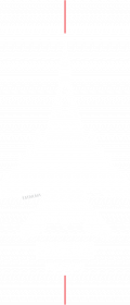 MiG-29 Fulcrum lve-002
