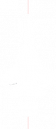 Su-33 Flanker D lve-004