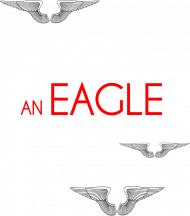 Fly like an eagle.