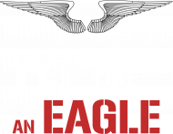 Patriot flay like an eagle.